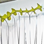 Akirasaurus • Installation, Airplane Parts, Grappling Hooks, Shim Stock, R.A.M.S.E.S Recycled-Assembled-Metal-Surplus-Engineered-Scrap, 108 x 84 x 48-60 inches (274.32 x 213.36 x 121.92 cm) All dimensions slightly variable.